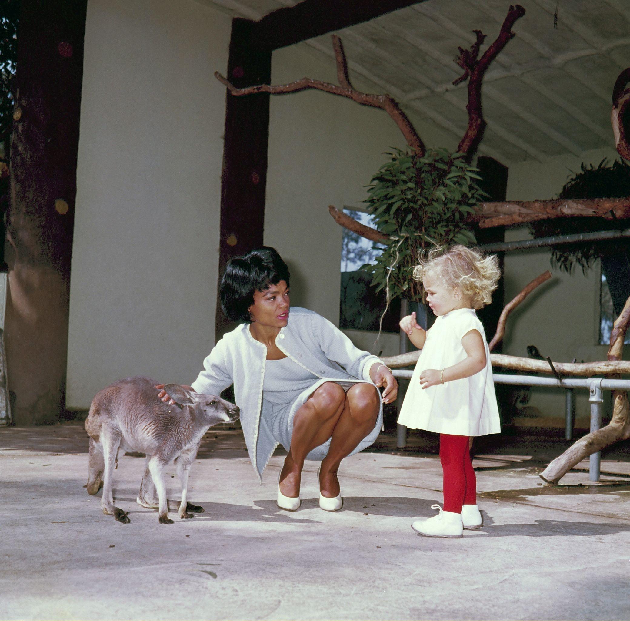 厄莎·凯特（Eartha Kitt）在澳大利亚带着女儿，试图让她明白袋鼠并不可怕。（1963年）