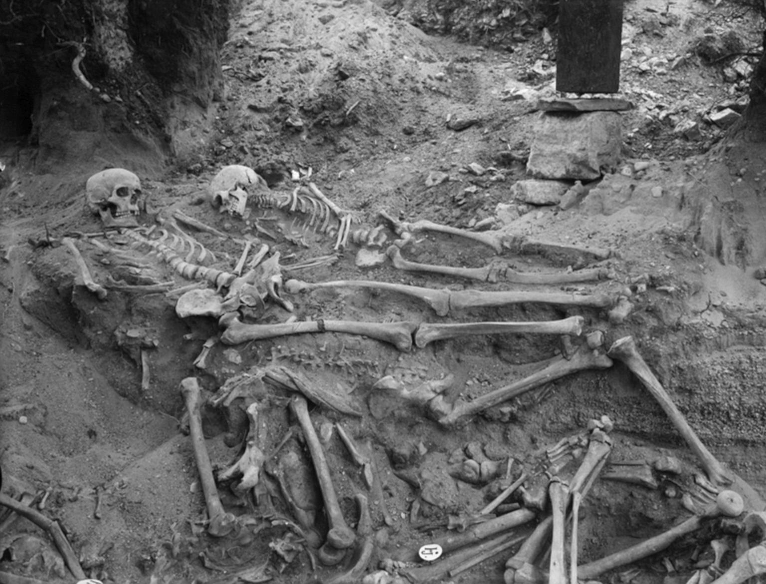 维斯比中世纪大屠杀——丹麦入侵瑞典哥特兰岛，1361年