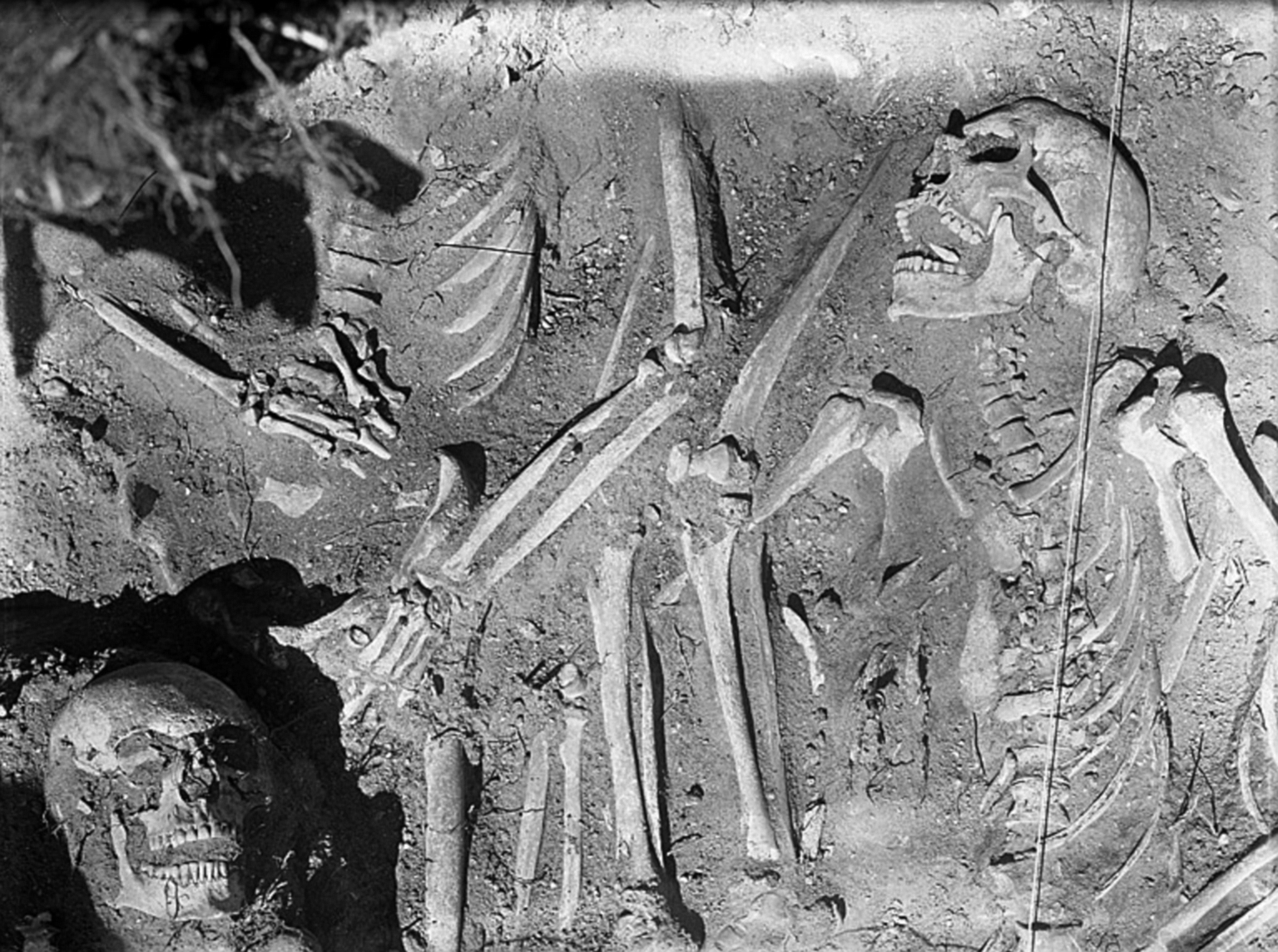 维斯比中世纪大屠杀——丹麦入侵瑞典哥特兰岛，1361年