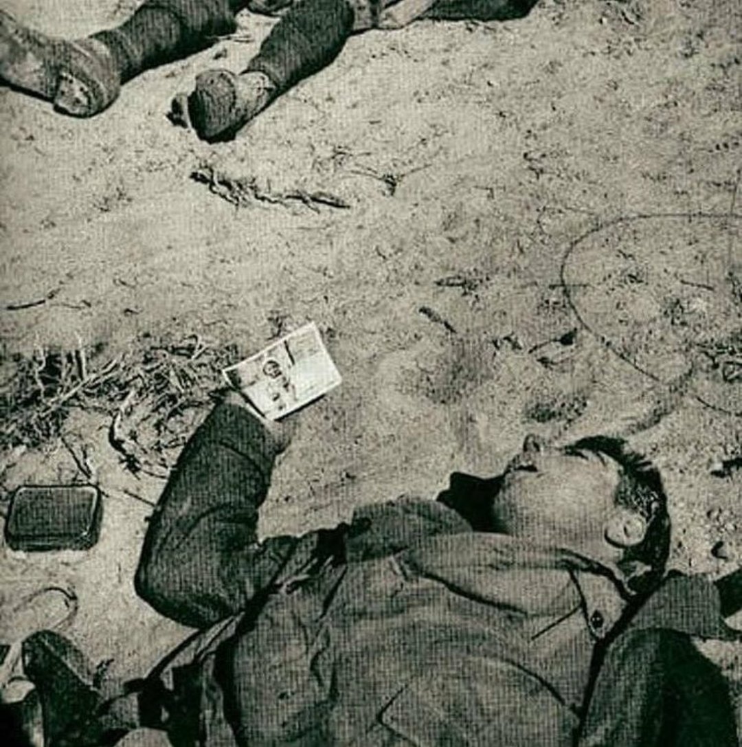 Dead Italian soldier holding a photograph of his child, north Africa, WWII, c. 1940's [1080x1087]