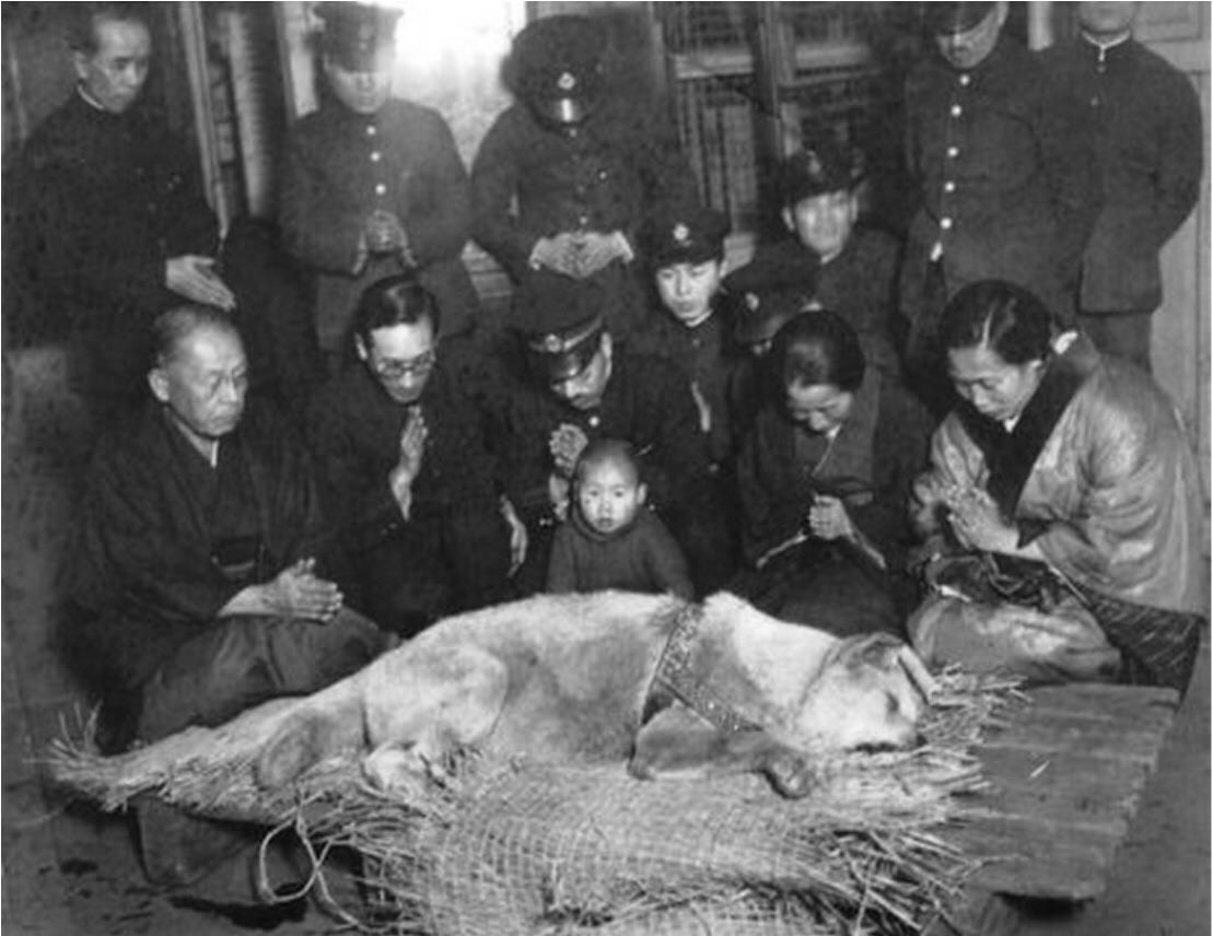 东京民众悼念忠犬八公——它每天在涩谷车站等待已故主人